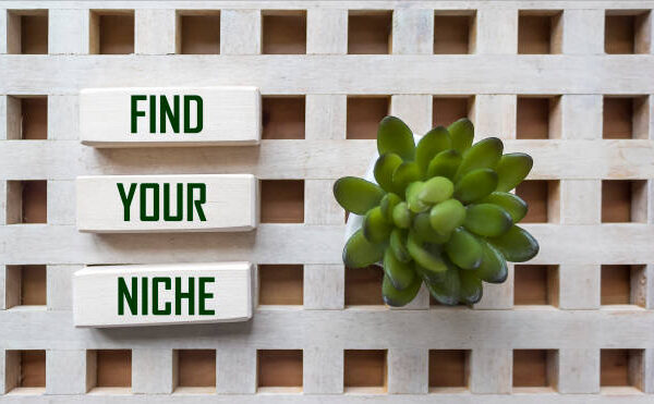 Text on wooden blocks reads Find Your Niche