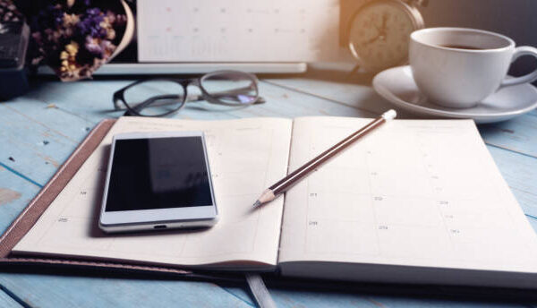 Diary Calendar and agenda for Planner for Business Productivity Journaling