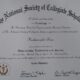 Shyne's National Society of Collegiate Scholars documentation